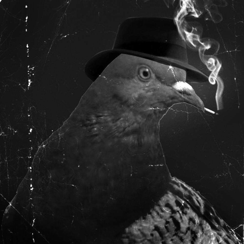 Detective Palomary Dove